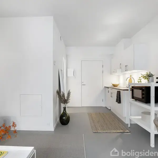 En moderne, lys lejlighed med et åbent køkken i højre side. På køkkenet står en mikrobølgeovn og dekorationer. Til venstre er en vase med tørre grene og en sofa.