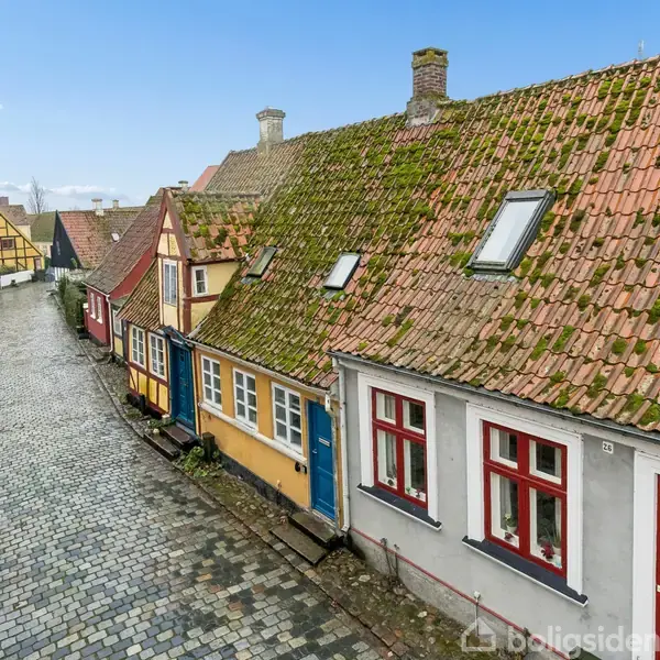 Charmerende, farverige huse med skrå tage prydet med mos. Huse står tæt langs en brostensbelagt gade, der snor sig gennem en idyllisk landsby. Stemningen er rolig og historisk.