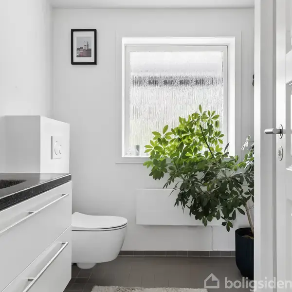 Et lyst badeværelse med en stor grøn plante ved et matteret vindue. Der er en hvid håndvask med en sort bordplade til venstre og et toilet bagved.