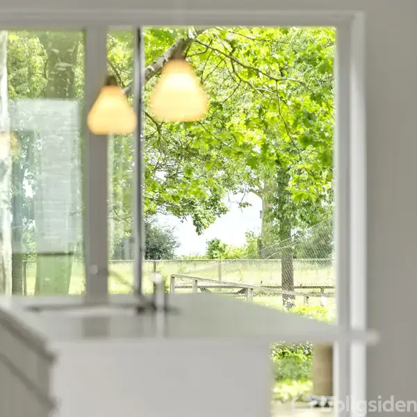 Lamper hænger fra loftet i et lyst rum med store vinduer. Gennem dem ses et grønt træ og en vej, der skaber en naturlig og fredelig atmosfære.