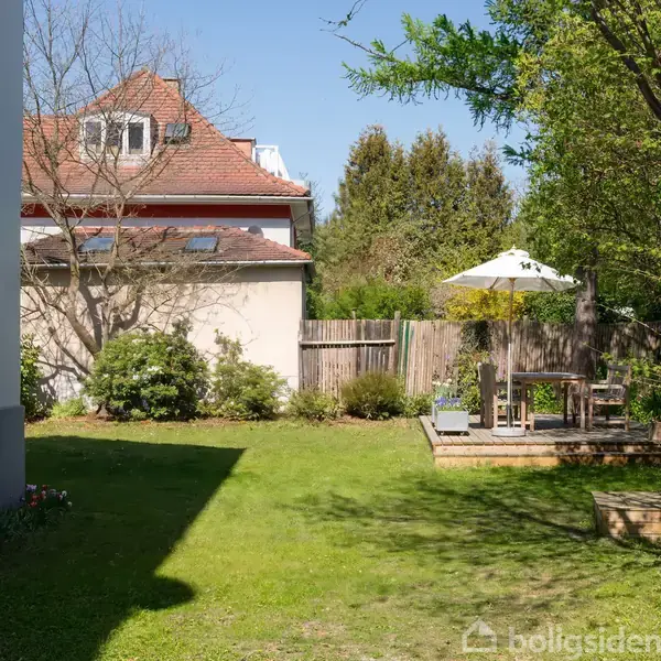 Have: En terrasse med parasol og bord. Aktion: Står i solen. Kontekst: En græsplæne omgivet af træer og buske, ved siden af et hus og et træhegn.