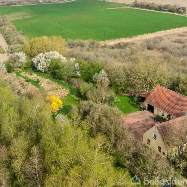 Et landsted med rødt tegltag ligger omgivet af tæt bevoksning og blomstrende træer. Det grænser op til en stor grøn mark, hvilket giver en frodig, landlig atmosfære.