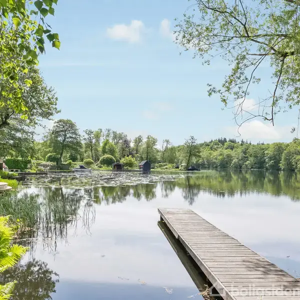 En træbro strækker sig ud over en stille sø omkranset af grønne træer og buske. Bådhuse er synlige i baggrunden under en blå himmel med lette skyer.
