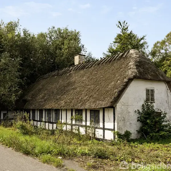 En bindingsværksbygning med stråtag står stille ved en vejkant omgivet af tæt skov. Vejen har en vejskilt med en rød pil, der peger mod venstre.