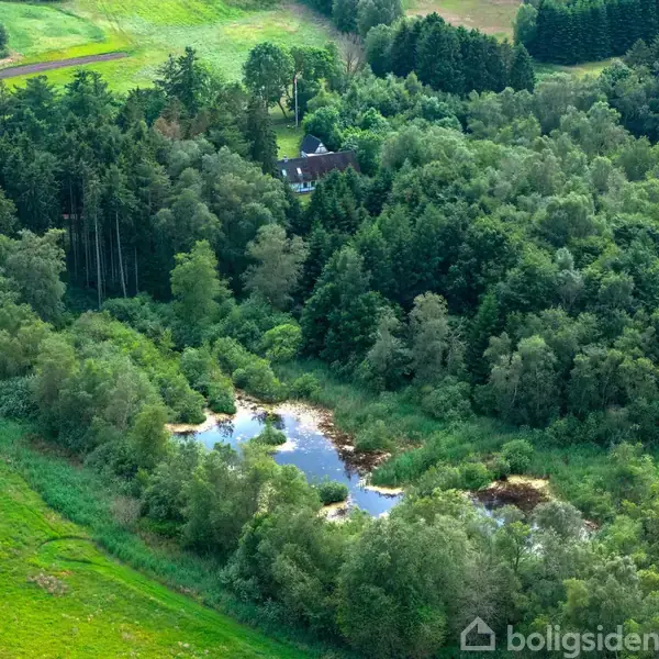 Huset ligger gemt blandt tætte skove, omgivet af grønne marker og en lille sø. Vandløb snor sig gennem området, hvilket skaber et fredfyldt, naturskønt landskab.