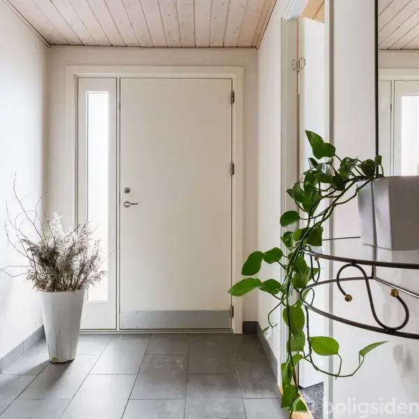 Dør til entré står åben, omgivet af lyse vægge. Spejl og grøn plante pynter rummet, og en vase med tørrede grene står ved siden af døren.