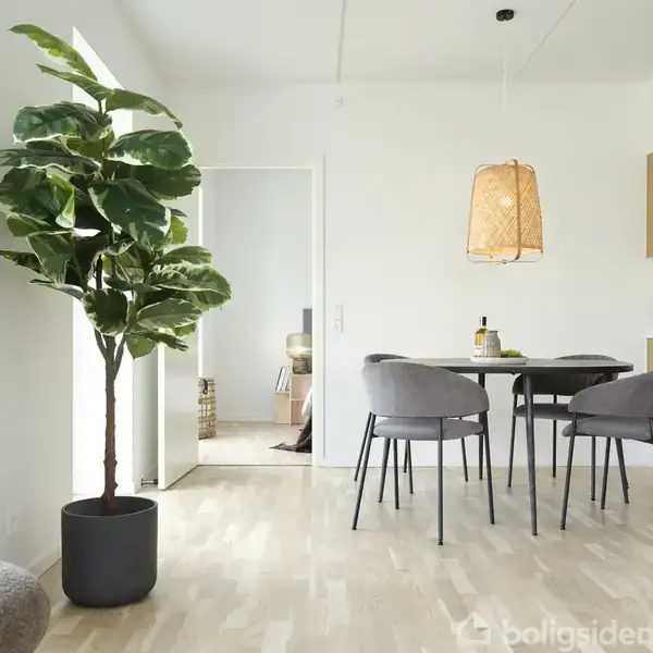 En stor grøn plante står i en potte ved siden af en moderne spisestue med et rundt bord og fire stole. Køkkenet er lyst med hvide skabe og en hængende lampe.