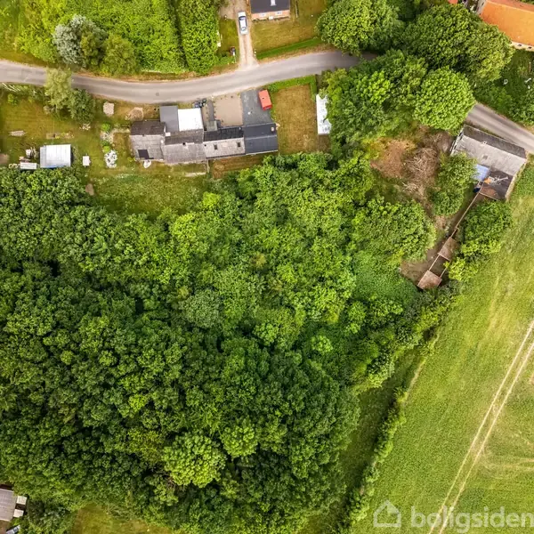 Luftfoto viser et skovområde, der grænser op til en vej med huse og bygninger. Omkring skoven er der grønne marker og en vej med køretøjer og huse.