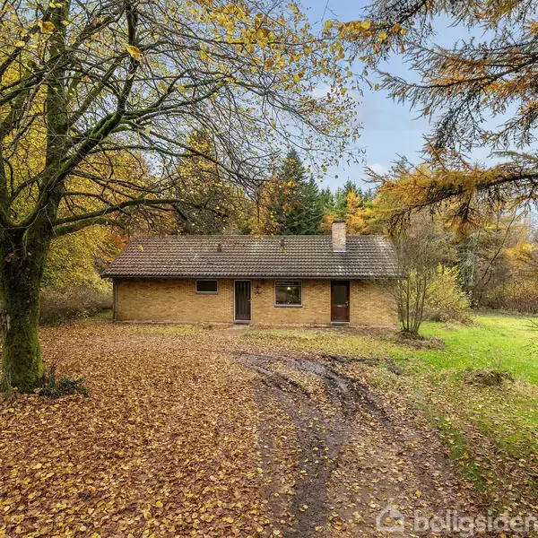 Et lille murstenshus står omgivet af træer med efterårsblade. En sti dækket af faldne blade leder op til huset, som ligger i et grønt skovområde.