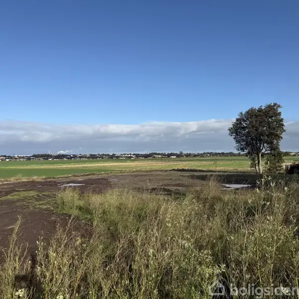 En mark med græs og en enkelt træ står stille under en blå himmel. Fjerne bygninger kan ses i horisonten, omgivet af grønne marker.