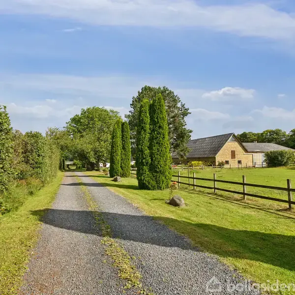 Grusvej strækker sig gennem grønne marker med høje træer på begge sider. I baggrunden ses et hus og en indhegning under en blå himmel.