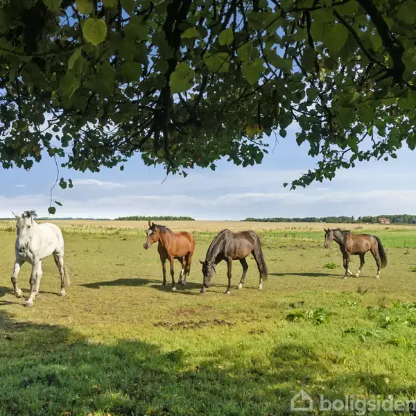 Hvidt hus med skråt tag og tre indgangsdøre står på en gårdsplads med grus, omkranset af træer. En lille skulptur pryder midten af pladsen.