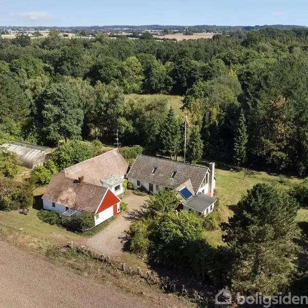 To huse med stråtag står ved siden af hinanden omgivet af frodig skov og marker. Et flag vajer ved siden af boligerne, der skaber en idyllisk landsbyatmosfære.