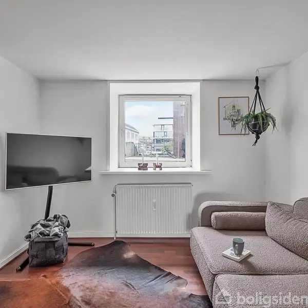 Fladskærms-TV står på stativ i stuehjørne ved siden af en brun sofa. Et vindue viser en byudsigt. En hængende plante og et tæppe på gulvet skaber hygge.