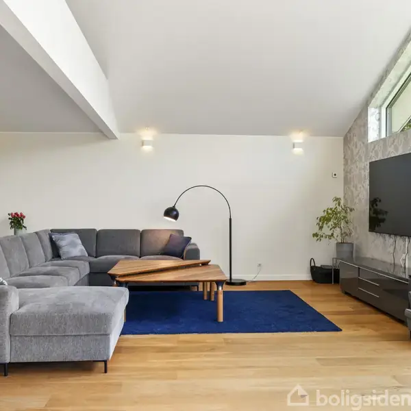 Grå hjørnesofa med puder står på blå tæppe, flankeret af en gulvlampe og sofabord. Højrevæggen har et stort fladskærms-TV over et lavt skab og en potteplante.