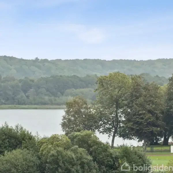 En sø omgivet af grønne træer og frodig vegetation, med en skov i baggrunden under en klar blå himmel.