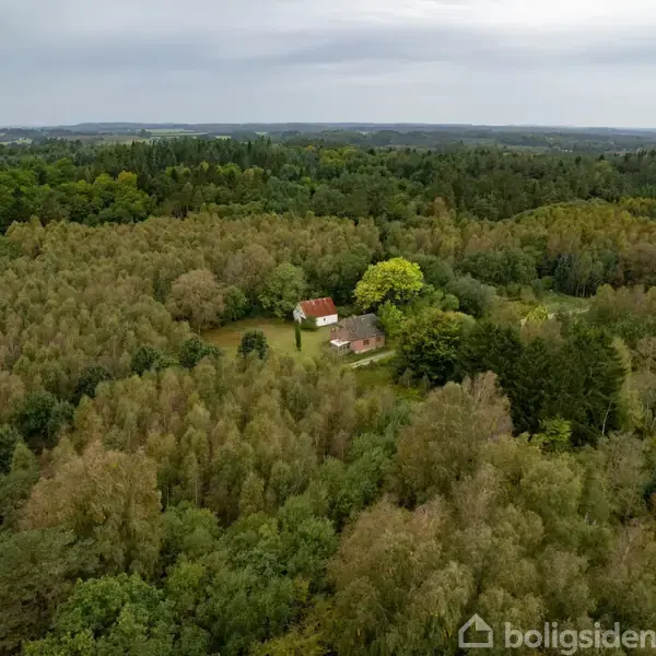 Et hus med rødt tag står stille omgivet af tætte træer i frodig skov, med vej i venstre hjørne under overskyet himmel.
