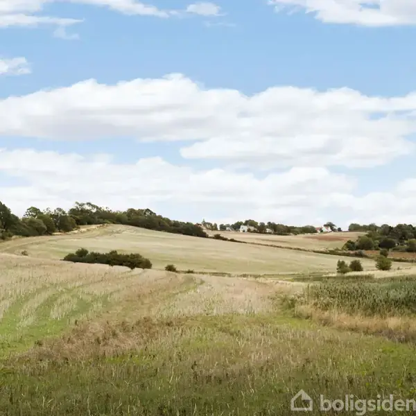 En stor mark strækker sig gennem et åbent landskab, omgivet af spredte træer og buske. Over marken hænger en klar blå himmel med hvide, lette skyer, der skaber en fredfyldt atmosfære.