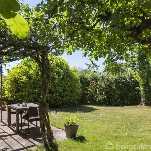 Terrassebord med stole under en pergola dækket af klatrende planter, står på en flisebelagt terrasse. I baggrunden er en frodig have med buske og træer, badet i sollys.