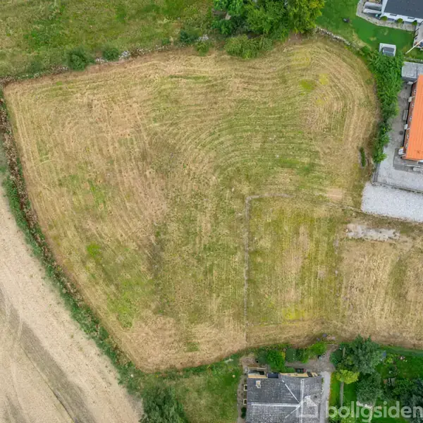 Græsmark ligger til højre for en landevej, omgivet af træer og tæt på et hus med rødt tag. Til venstre ses en dyrket mark.