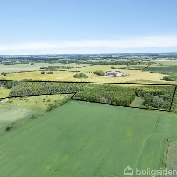 Et stort, markeret skovområde er omgivet af grønne marker under en klar blå himmel, og gårde ses i baggrunden i et landligt landskab.