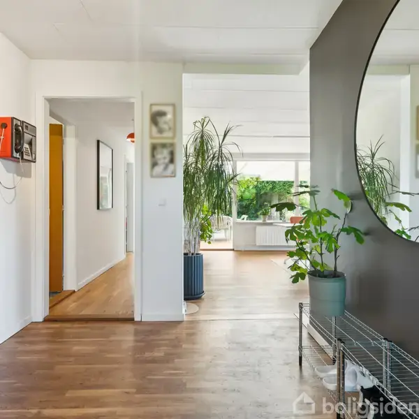 Et rummeligt gangområde med trægulv. En stor, rund spejl hænger på en mørk væg. Til højre, planter i potter og et reolsystem. I baggrunden ses en lys stue.