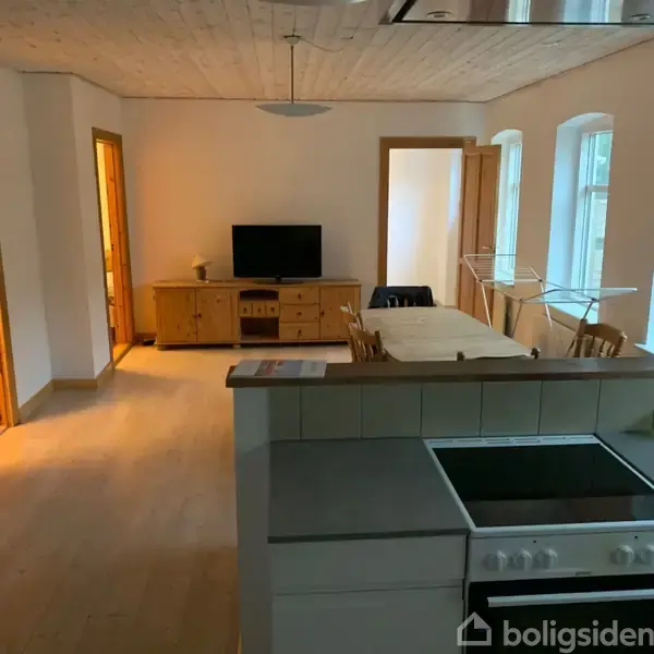 Køkkenet har en kogeplade i forgrunden. Spisestuen har et bord med stole i midten. Stuen har en kommode med en tv ovenpå, og flere vinduer bagved.