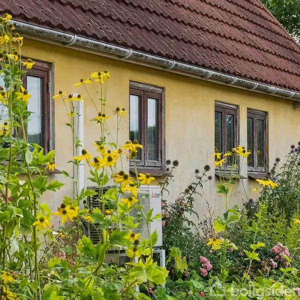 Gult hus med brunrødt tag står omgivet af en frodig have med mange blomstrende, høje gule og lilla blomster. Flere vinduer ses langs husets side.