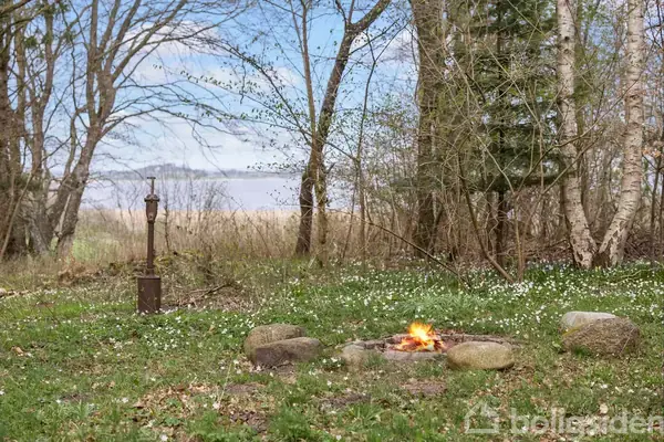 Bål brænder i en cirkel af sten på et græsareal med vilde blomster. Omkring er der træer med nøgne grene og en klar blå himmel.