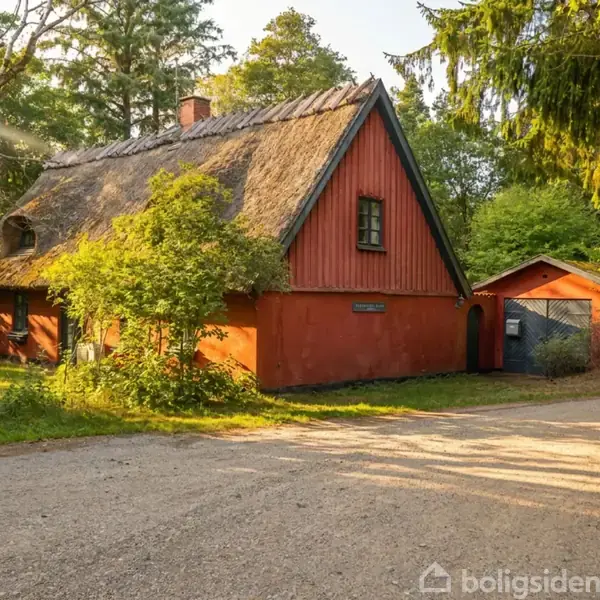 Huset med stråtækt tag står i sollys omgivet af frodige træer og buske, der skaber en idyllisk skovstemning. En grusvej løber forbi i forgrunden.