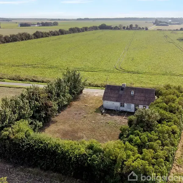 Et lille hus står omgivet af tæt buskads i en stor, frodig landbrugsmark. En vej løber foran huset, omgivet af åbne marker og træer i horisonten.