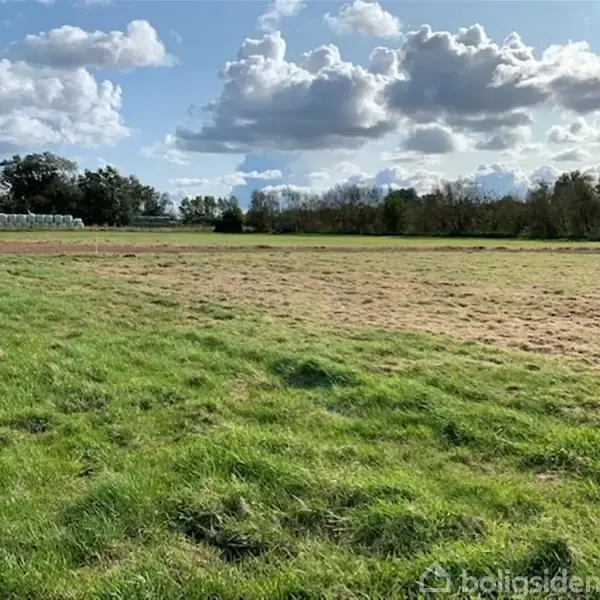 En stor græsmark ligger stille under en dramatisk himmel med skyer. I baggrunden ses træer og et drivhus, hvilket skaber en landlig atmosfære.