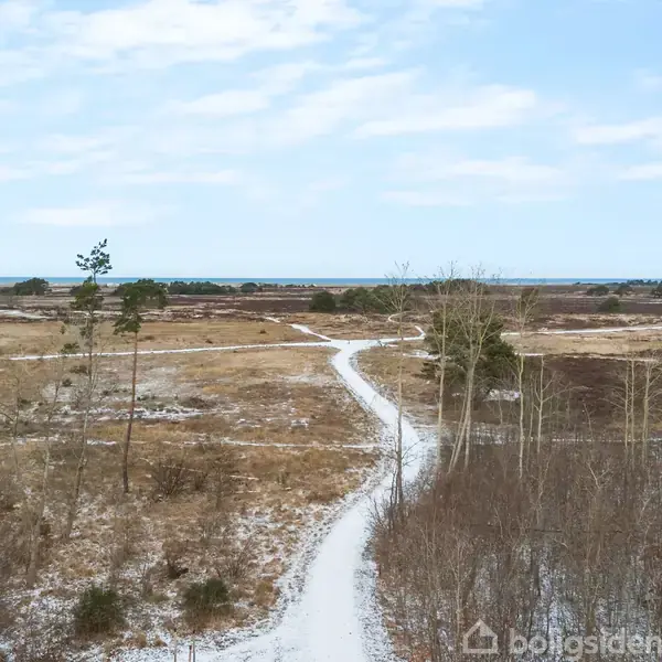En sneklædt grusvej snor sig gennem et åbent landskab med sparsom bevoksning. I baggrunden ses en skovlinje under en delvist skyet himmel.