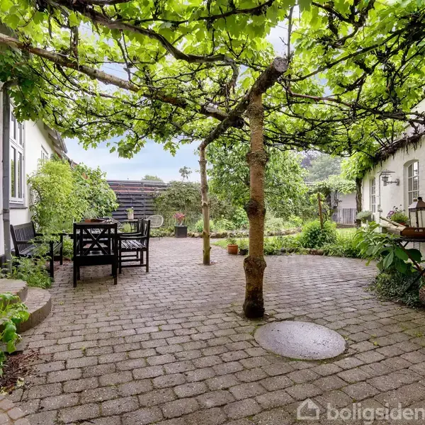 En gårdhave med et bord og stole under en pergola dækket af grønne planter, omgivet af hvidmalede bygninger og frodig vegetation.