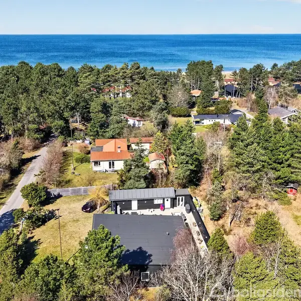 Huse ligger blandt træer, tæt på kystlinje i et skovområde. En vej løber gennem kvarteret, hvilket giver adgang til flere boliger med forskellige tagfarver, blandt andet sort og orange.
