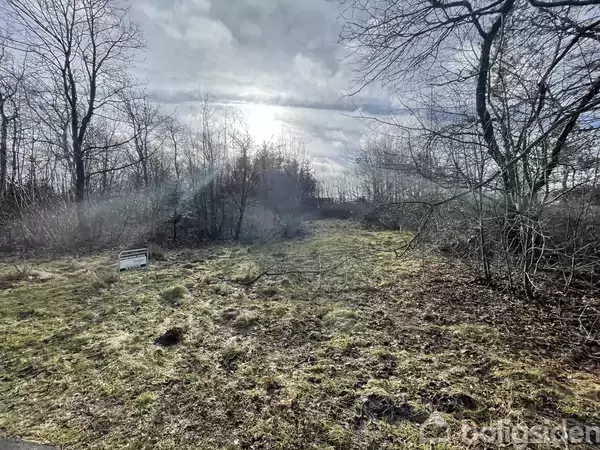 En åben græsmark med et "Til salg" skilt står forrest midt i en skov, mens solen skinner igennem let overskyet himmel.