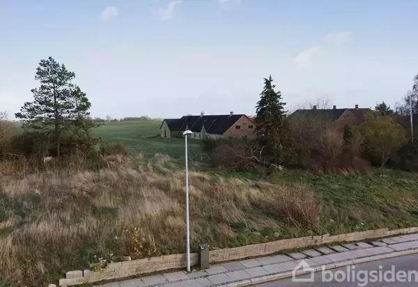 Gadelampe står stille ved en græsgroet skråning. I baggrunden ses åbne marker og gårde omkranset af træer under en klar himmel.