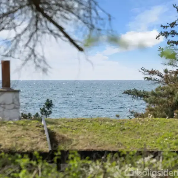 To skorstene står på et hustag med udsigt over en grøn have mod havet, omkranset af træer, under en blå himmel med lette skyer.