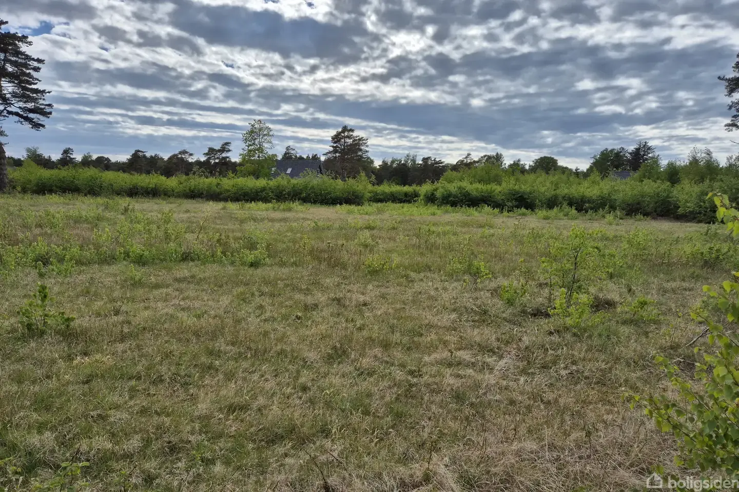 Stor og flot naturgrund i Sydhavnsparken - Visning 4