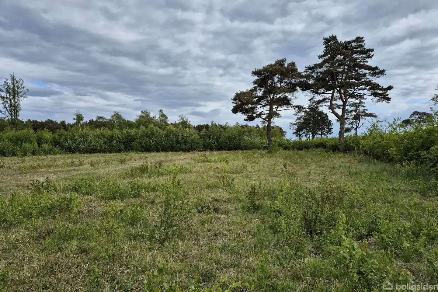 Stor og flot naturgrund i Sydhavnsparken - Visning 2