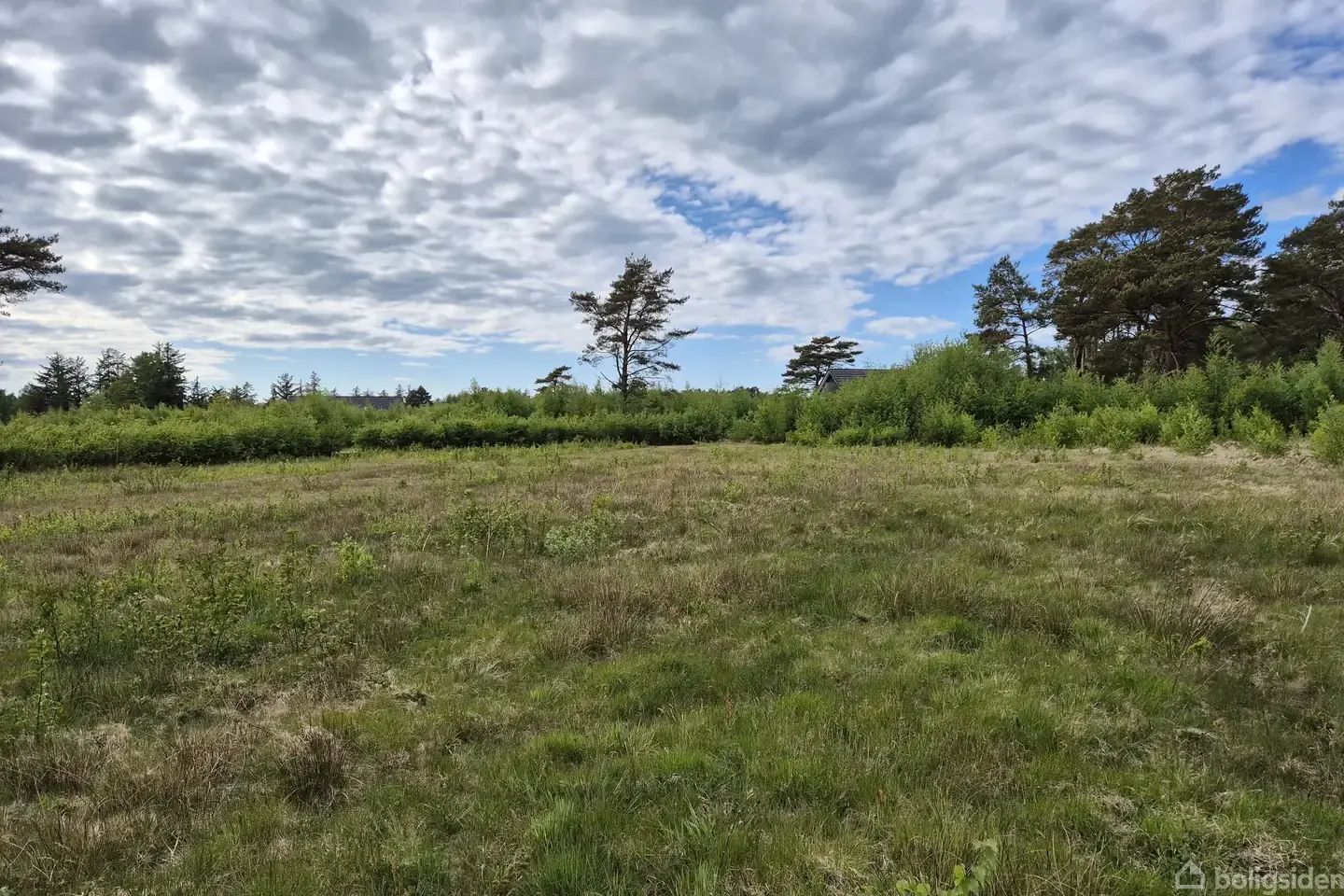 Stor og flot naturgrund i Sydhavnsparken - Visning 3
