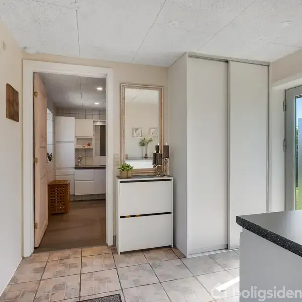 Entre med lyse fliser, hvidt skab ved siden af spejl og dør. Til venstre åbning til køkken med trægulv. Dør mod baghave til højre, lysindfald udefra.