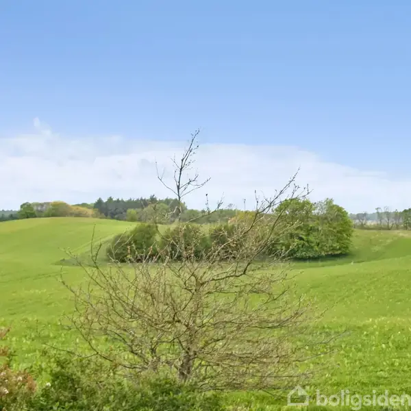 En busk står stille i forgrunden af et bakket landskab med grønne marker og spredte træer under en blå himmel.