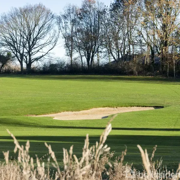 En sandbunker ligger på en velplejet golfbane omgivet af grøn plæne og træer i baggrunden, der står nøgne i vinterens klare lys.