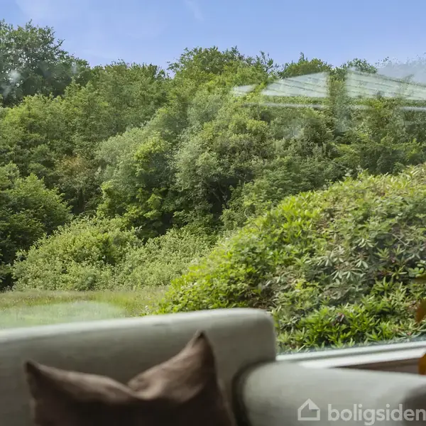 Sofa står ved et stort vindue med udsigt til frodig, grøn skov og blå himmel. En plante ses på sofabordet i forgrunden.