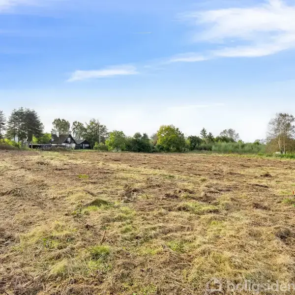 Åben mark med afskåret græs strækker sig mod en række træer i baggrunden; himmelen er klar og blå, hvilket skaber en rolig landlig atmosfære.