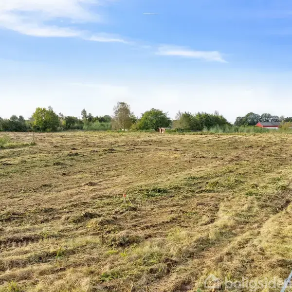 En nyklippet græsmark strækker sig i det åbne landskab. Let skyet blå himmel danner baggrund; huse og træer ses i horisonten.