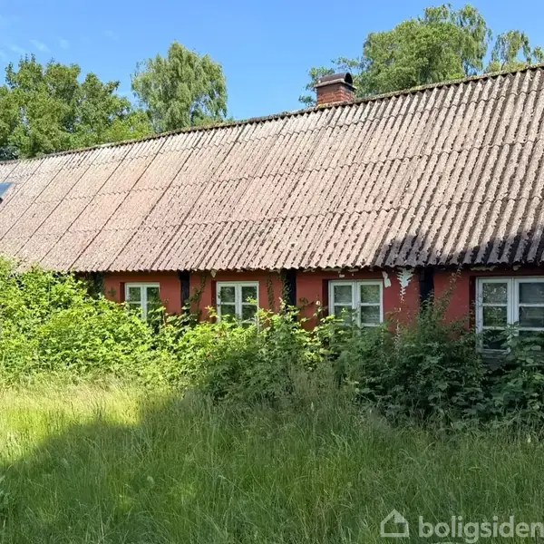 Et rødt bindingsværkshus står stille omgivet af højt græs og frodige buske, med et klassisk skråt tag og en parabolantenne, i en skovrig, solrig landskabsbaggrund.