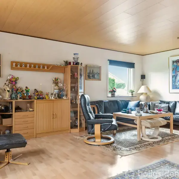 En stue med sorte lædersofaer står opstillet rundt om et sofabord på et tæppe. Reoler med dekorationer og planter fylder væggen, mens et stort maleri hænger ved siden af vinduet.