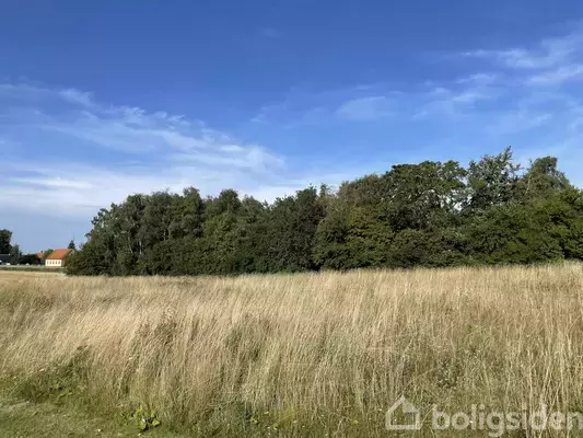 Helårsgrund på Fennikelvænget 11, 4840 Nørre Alslev